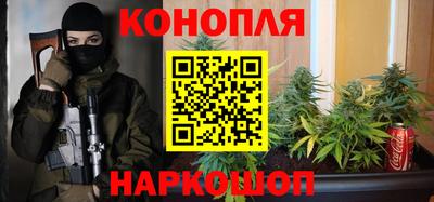 прущие грибы Ярославль