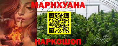 прущие грибы Ярославль